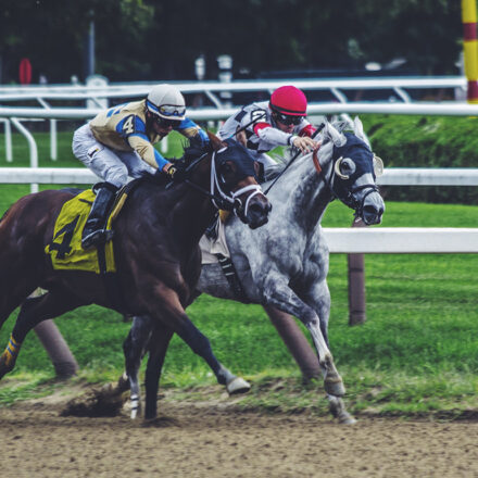 Man Attempts to Race Horse, Immediately Pulls