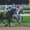 Man Attempts to Race Horse, Immediately Pulls