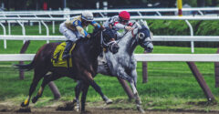 Man Attempts to Race Horse, Immediately Pulls
